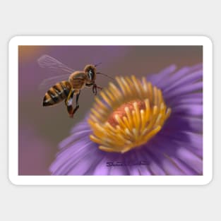 Honey Bee Sticker